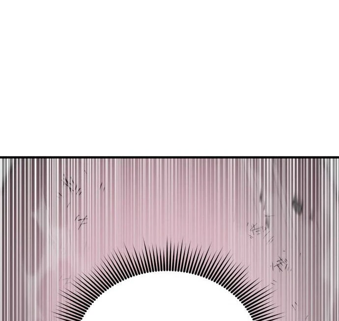 Página 102
