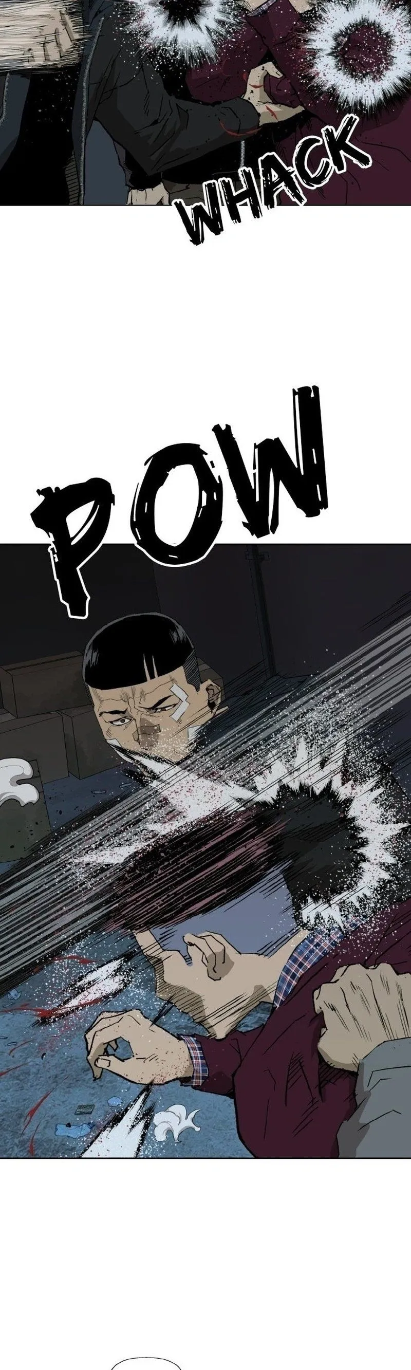 Página 37