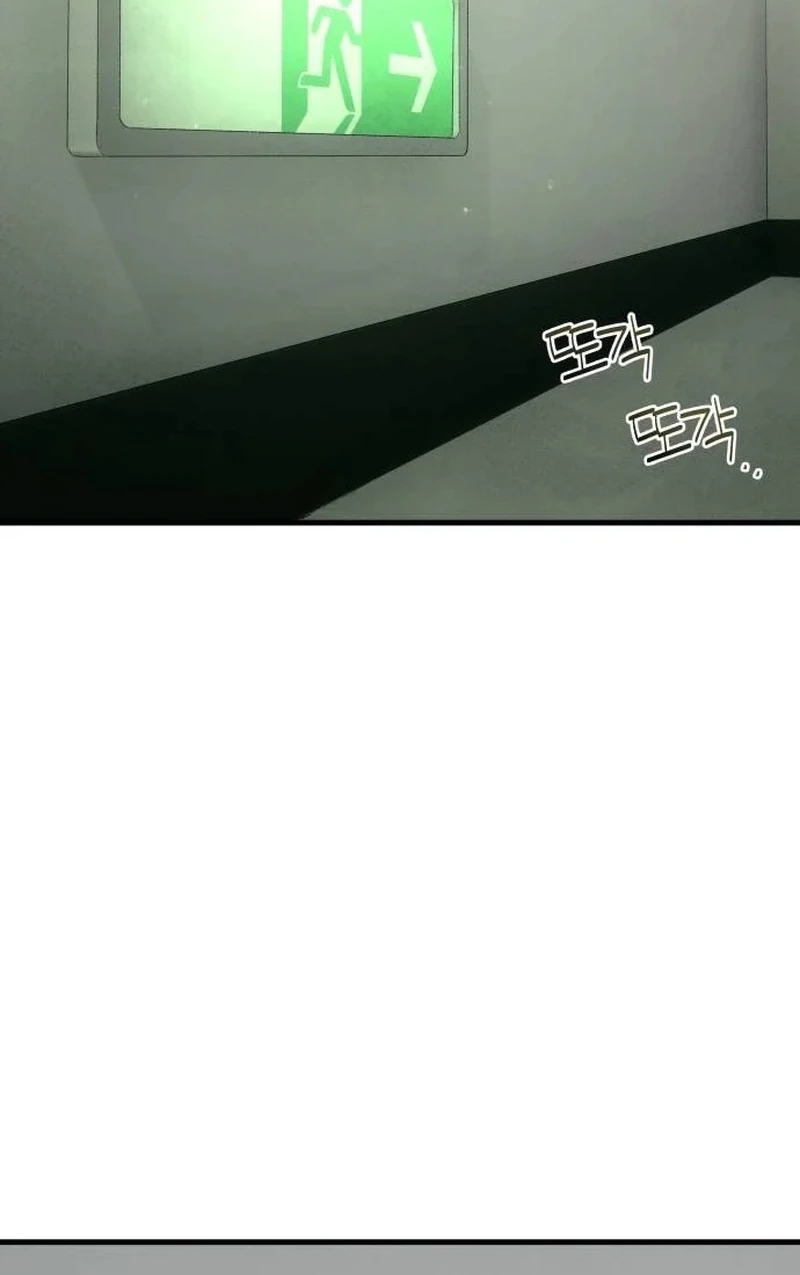 Página 49
