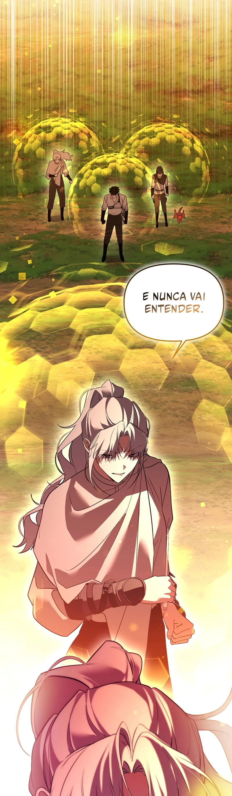 Página 41