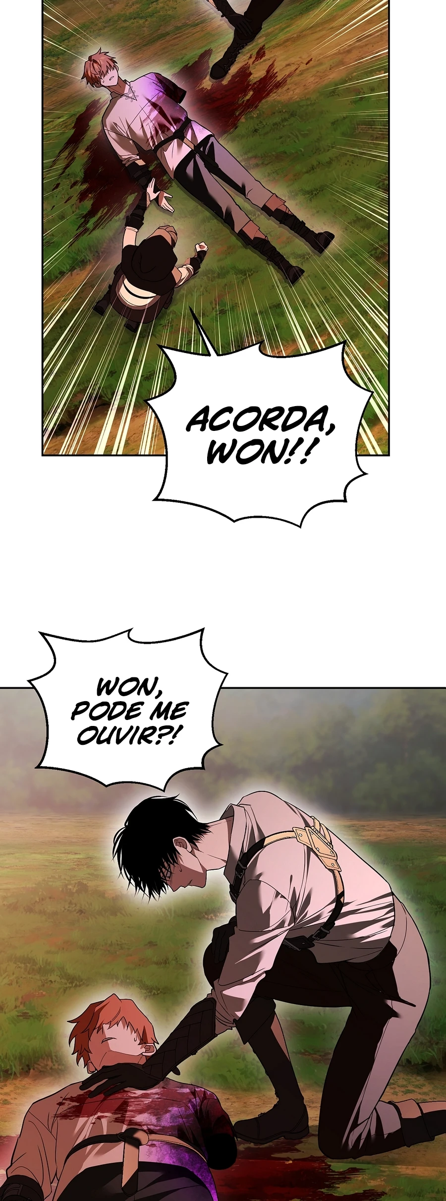 Página 4