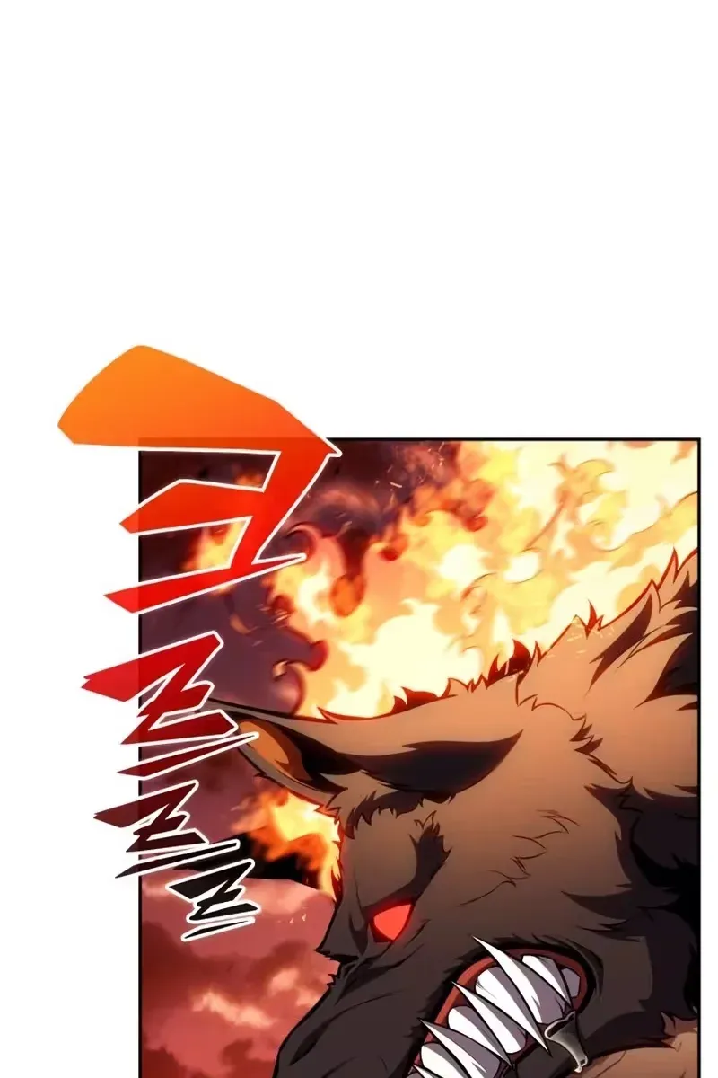Página 61