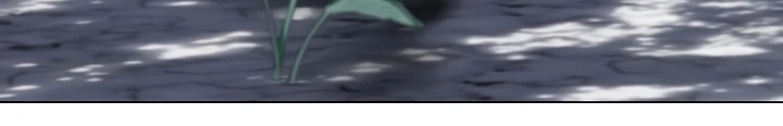 Página 65