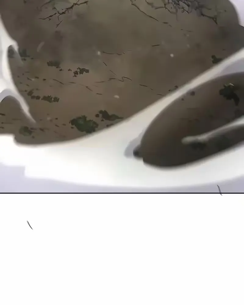 Página 60